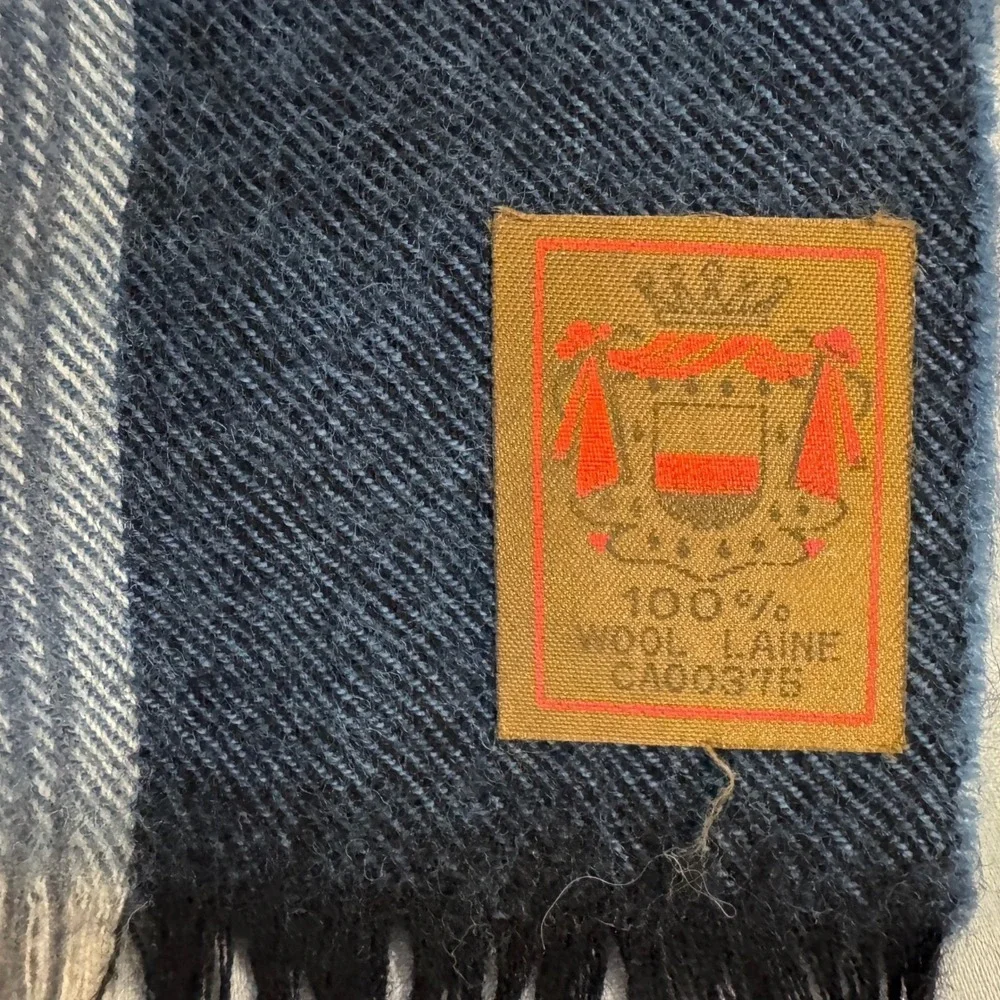 Danier 100% Wool Blue Plaid Scarf Fringed Edges Unisex Plaidcore Cabincore Cozy